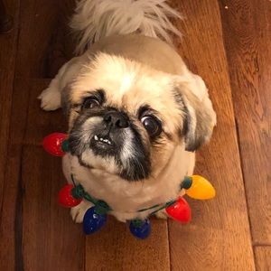 Meet your Posher, Rob